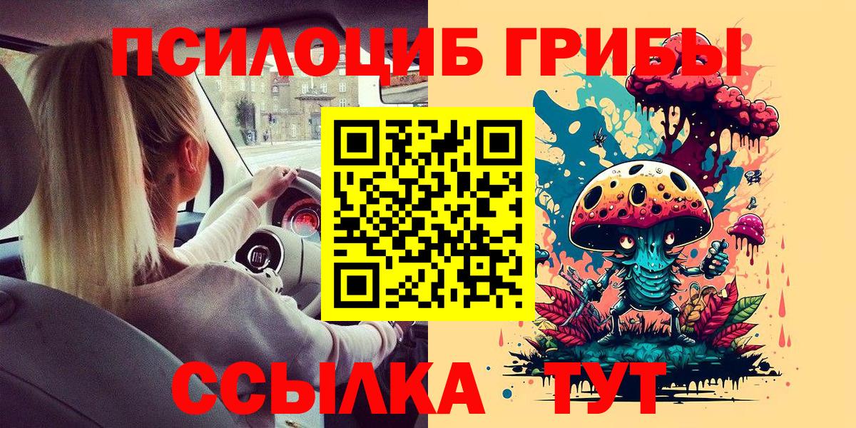 Псилоцибиновые грибы Psilocybe Сызрань