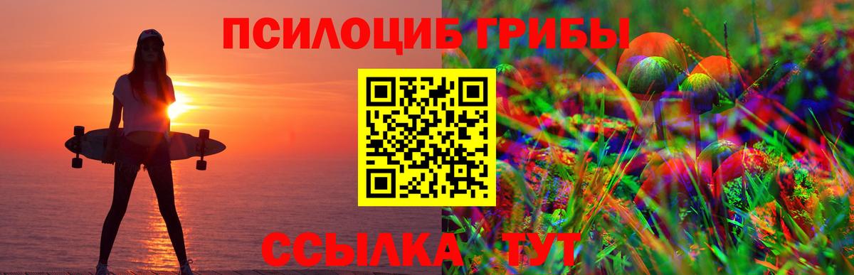 Сызрань  Галлюциногенные грибы ЛСД  Вход с VPN  Псилоцибиновые грибы ЛСД 